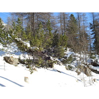 รูปถ่าย สวิสเซอร์แลนด์(Switzerland) จากปอนเตรซีนาไปลาโกเบียนโก(From Pontresina to Lago Bianco) 2007-01 4