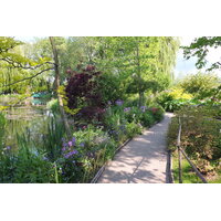รูปถ่าย ฝรั่งเศส(France) ฌีแวร์นี(Giverny) 2013-06 52