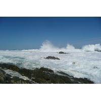 รูปถ่าย แอฟริกาใต้(South Africa) อุทยานแห่งชาติซิตซิคัมมา(Tsitsikamma National Park) 2008-09 417