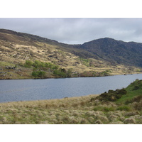รูปถ่าย ไอร์แลนด์(Ireland) เคอร์รี่(Kerry) สวนสาธารณะคิลลาร์นีย์เนชั่นเนล(Killarney National Park) 2004-05 4
