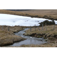 รูปถ่าย ฝรั่งเศส(France) โอบรัก(L'Aubrac) 2008-04 120