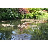 รูปถ่าย ฝรั่งเศส(France) ฌีแวร์นี(Giverny) 2013-06 130