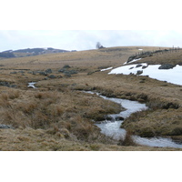 รูปถ่าย ฝรั่งเศส(France) โอบรัก(L'Aubrac) 2008-04 107