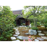 รูปถ่าย ญี่ปุ่น(Japan) เกียวโต(Kyoto) พระราชวังหลวงเกียวโต(Kyoto Imperial Palace) 2010-06 80