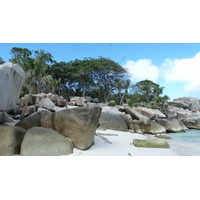 รูปถ่าย เซเชลส์(Seychelles) เกาะโกโก้(Coco Island) 2011-10 85