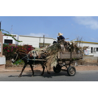 รูปถ่าย โมร็อกโก(Morocco) คาซาบลังกา(Casablanca) ถนนเลียบทะเลคาซาบลังกา(Casablanca Corniche) 2008-07 48