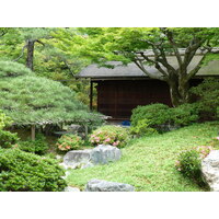 รูปถ่าย ญี่ปุ่น(Japan) เกียวโต(Kyoto) พระราชวังหลวงเกียวโต(Kyoto Imperial Palace) 2010-06 81