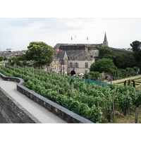 รูปถ่าย ฝรั่งเศส(France) อองเจ(Angers) 2006-06 100