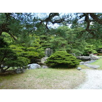 รูปถ่าย ญี่ปุ่น(Japan) เกียวโต(Kyoto) พระราชวังหลวงเกียวโต(Kyoto Imperial Palace) 2010-06 114