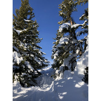 รูปถ่าย ฝรั่งเศส(France) ปรา-ซูร์-อาร์ลี(Praz sur Arly) 2019-12 358