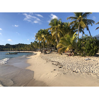รูปถ่าย กวาเดอลูป(Guadeloupe) หาดลาการาแวล(La Caravelle Beach) 2021-02 14