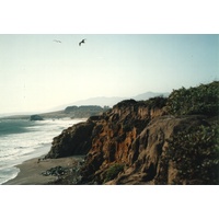 รูปถ่าย สหรัฐอเมริกา(United States) รัฐแคริฟอร์เนีย(California) 1992-08 3