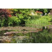 รูปถ่าย ฝรั่งเศส(France) ฌีแวร์นี(Giverny) 2013-06 159