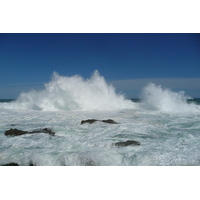 รูปถ่าย แอฟริกาใต้(South Africa) อุทยานแห่งชาติซิตซิคัมมา(Tsitsikamma National Park) 2008-09 182