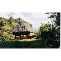 รูปถ่าย ฟิลิปปินส์(Philippines) บานาเวย์(Banaue) 1997-03 4