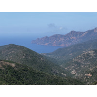 รูปถ่าย ฝรั่งเศส(France) คอร์สิคา(Corsica) โอซานี(Osani) 2023-06 7