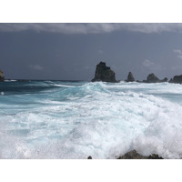 รูปถ่าย กวาเดอลูป(Guadeloupe) แหลมคาสเซิลพอยต์(Castle Point) 2021-02 301