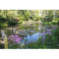 รูปถ่าย ฝรั่งเศส(France) ฌีแวร์นี(Giverny) 2013-06 78