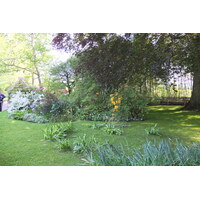 รูปถ่าย ฝรั่งเศส(France) ฌีแวร์นี(Giverny) 2013-06 67