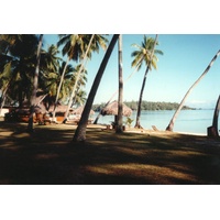 รูปถ่าย เฟรนช์โพลี่นีเซีย(Polynesia) มูเรีย(Moorea) 1993-04 45