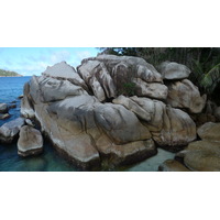 รูปถ่าย เซเชลส์(Seychelles) เกาะโกโก้(Coco Island) 2011-10 79