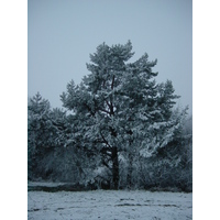 รูปถ่าย สาธารณรัฐเช็ก(Czech Republic) ปราก(Prague) 2001-11 91