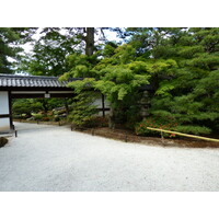 รูปถ่าย ญี่ปุ่น(Japan) เกียวโต(Kyoto) พระราชวังหลวงเกียวโต(Kyoto Imperial Palace) 2010-06 32