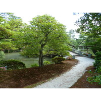 รูปถ่าย ญี่ปุ่น(Japan) เกียวโต(Kyoto) พระราชวังหลวงเกียวโต(Kyoto Imperial Palace) 2010-06 31