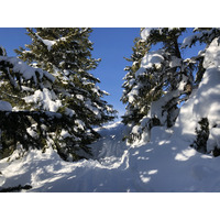 รูปถ่าย ฝรั่งเศส(France) ปรา-ซูร์-อาร์ลี(Praz sur Arly) 2019-12 189