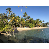 รูปถ่าย กวาเดอลูป(Guadeloupe) หาดลาการาแวล(La Caravelle Beach) 2021-02 152