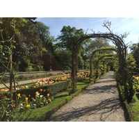 รูปถ่าย ฝรั่งเศส(France) ปารีส(Paris) บากาแตล(Bagatelles) 2017-04 21