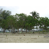 รูปถ่าย ไทย(Thailand) เขาหลัก(Khao Lak) หาดบางสัก(Bang Sak Beach) 2005-12 2