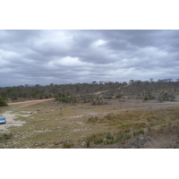 รูปถ่าย แอฟริกาใต้(South Africa) อุทยานแห่งชาติครูเกอร์(Kruger National Park) มปอนโด(Mpondo) 2008-09 40
