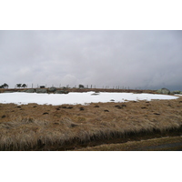 รูปถ่าย ฝรั่งเศส(France) โอบรัก(L'Aubrac) 2008-04 17