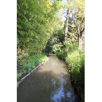 รูปถ่าย ฝรั่งเศส(France) ฌีแวร์นี(Giverny) 2013-06 211