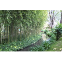 รูปถ่าย ฝรั่งเศส(France) ฌีแวร์นี(Giverny) 2013-06 186