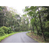 รูปถ่าย คอสตาริกา(Costa Rica) ปวยร์โตเบียโฆเดตาลามังกา(Puerto Viejo de Talamanca) 2015-03 46