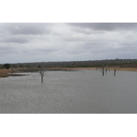รูปถ่าย แอฟริกาใต้(South Africa) อุทยานแห่งชาติครูเกอร์(Kruger National Park) มปอนโด(Mpondo) 2008-09 15