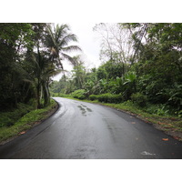 รูปถ่าย คอสตาริกา(Costa Rica) ปวยร์โตเบียโฆเดตาลามังกา(Puerto Viejo de Talamanca) 2015-03 32