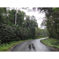 รูปถ่าย คอสตาริกา(Costa Rica) ปวยร์โตเบียโฆเดตาลามังกา(Puerto Viejo de Talamanca) 2015-03 37