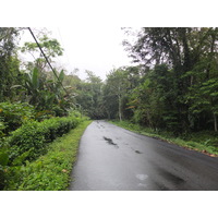 รูปถ่าย คอสตาริกา(Costa Rica) ปวยร์โตเบียโฆเดตาลามังกา(Puerto Viejo de Talamanca) 2015-03 24