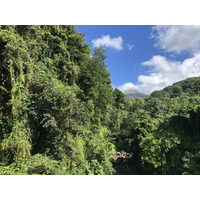 รูปถ่าย กวาเดอลูป(Guadeloupe) ภูเขาไฟลากร็องด์ซูฟรีแยร์(La Grande Soufriere) 2021-02 43