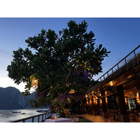 รูปถ่าย ไทย(Thailand) เกาะพีพีดอน(Ko Phi Phi Don) 2021-12 115