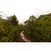 รูปถ่าย เซเชลส์(Seychelles) เกาะกูรีเยิซ(Curieuse) 2011-10 1