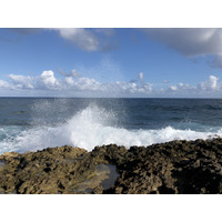รูปถ่าย กวาเดอลูป(Guadeloupe) แหลมคาสเซิลพอยต์(Castle Point) 2021-02 117