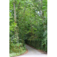 รูปถ่าย ฝรั่งเศส(France) ถนนในบริตตานี(Brittany roads) 2007-08 6