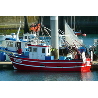รูปถ่าย ฝรั่งเศส(France) คาบสมุทรกีเบอรง(Quiberon peninsula) กีเบอรง(Quiberon) 2008-07 93