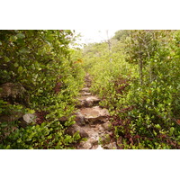 รูปถ่าย เซเชลส์(Seychelles) เกาะกูรีเยิซ(Curieuse) 2011-10 8