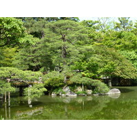 รูปถ่าย ญี่ปุ่น(Japan) เกียวโต(Kyoto) พระราชวังหลวงเกียวโต(Kyoto Imperial Palace) 2010-06 60