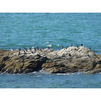 รูปถ่าย ฝรั่งเศส(France) ปีรียัก-ซูร์-แมร์(Piriac sur mer) 2009-08 18